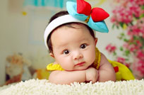 ʮ�ºﱦ��������ȫ