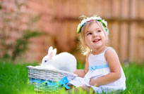 ʮ�ºﱦ��������ȫ