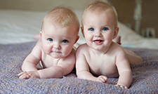 ����˫��̥����������ȫ��