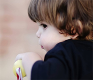 11���к�������������