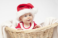 2016����ձ���������ȫȫ