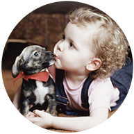 12�ºﱦ��������ȫ