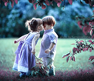 һ�ºﱦ��������ȫ