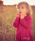 һ�ºﱦ��������ȫ