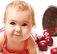 2015����1�±���������ȫ�к�