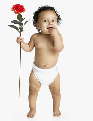 2015��1�³���������������������