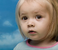 2�±���������ȫ