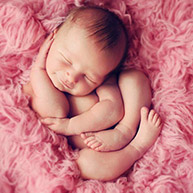 ����������ȫ