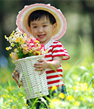 ���ºﱦ��������ȫ