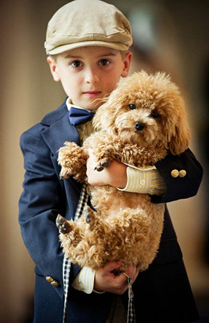 ����5�³������б���������ȫ