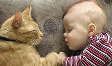 ���ºﱦ��������ȫ