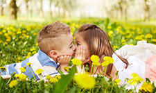 ���ºﱦ��������ȫ