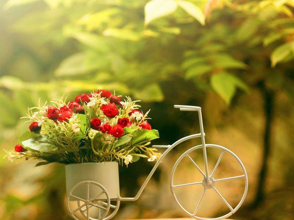 ���лƵ�����