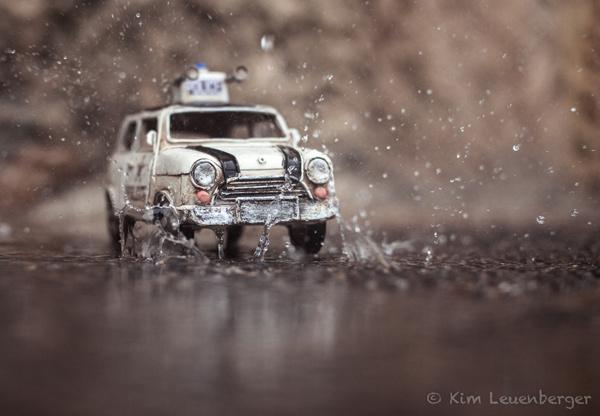 ���лƵ�����