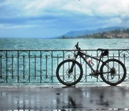 ���лƵ�����