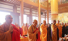 ����Ƶ�����